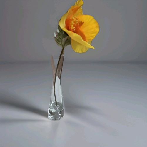 Clear glass small vase - vase, 18