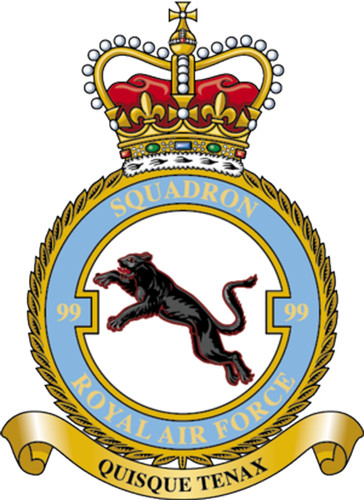 Raf squadron badge - on, metal