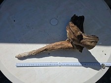 Premium Aquarium Natural Mopani Wood Driftwood FishTank Terrarium Decoration 