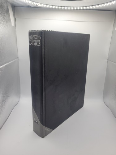 The marshall illustrated - the,