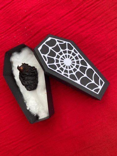 Card coffin box real crow - box,