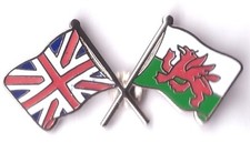 union jack wales  frendship lapel badge united kingdom welsh
