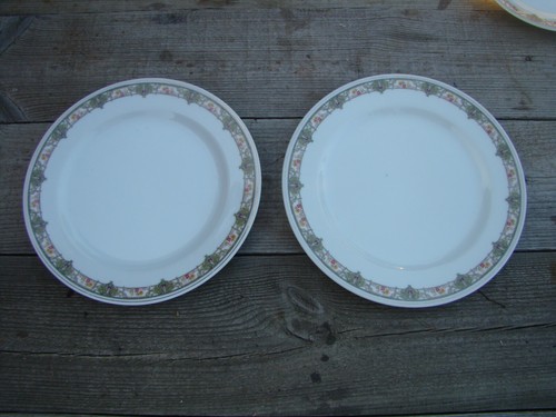 Vintage dinner plates bawo - dinner,