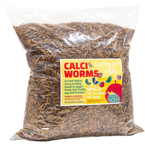 Dried calciworms for - calciworms,