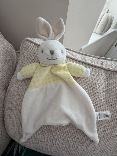 Bernard dunnes bunny - bunny, rabbit