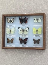 Beautiful collection of