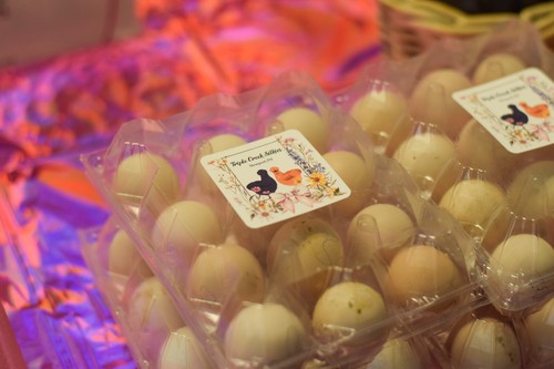 Fertile polish eggs hens - eggs,