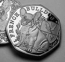 French bulldog silver - french,