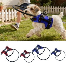 Blind Dog Harness Guiding