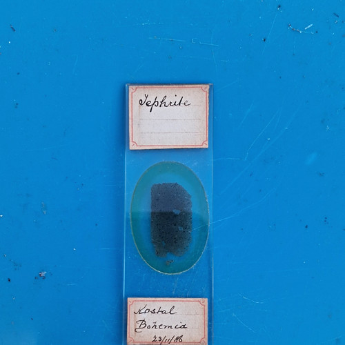 Microscope specimen slide - specimen,