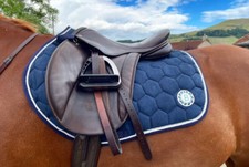 Navy competition suede jump