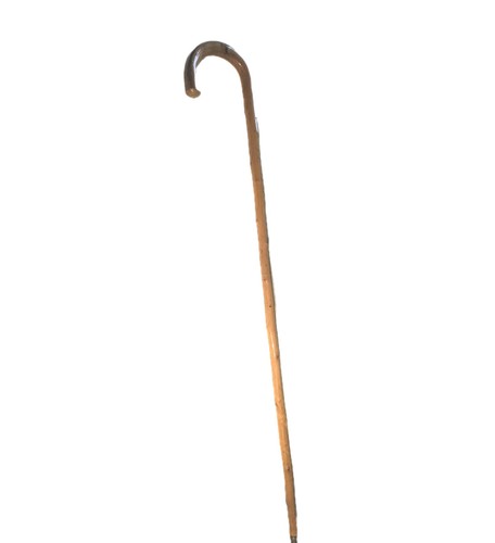 Vintage bentwood walking stick - walking,