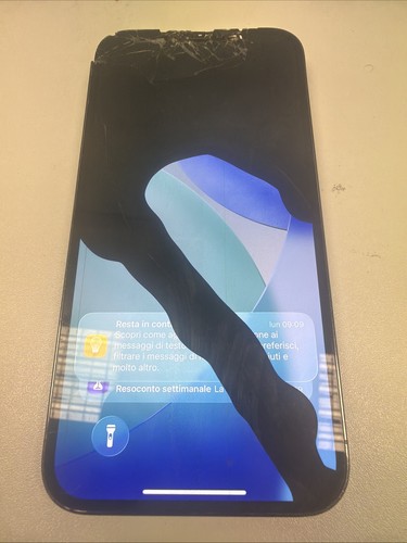 Iphone pro max 128gb face - 12,