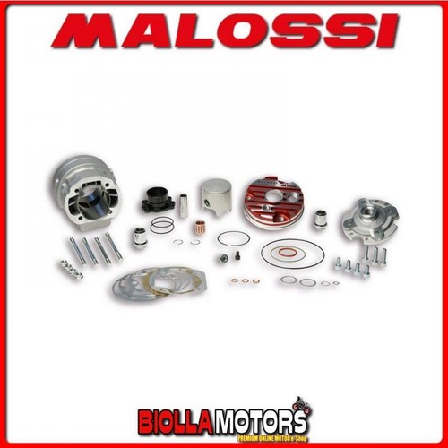 3115374 thermal group malossi - thermal,