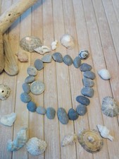 20 small flat beach pebbles