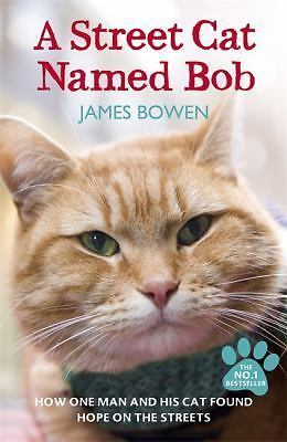 Street cat named bob how - cat,