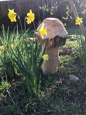 Rustic cut Wooden Toadstool /