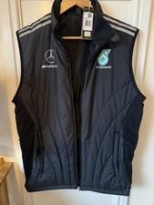 Mercedes AMG Petronas F1 Team