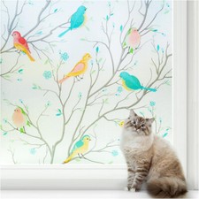 rabbitgoo Rainbow Frosted