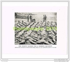 ONE NIGHTS RATION FOR A BOMBING SQUADRON, PHOTO BOOK ILLUSTRATION c1914