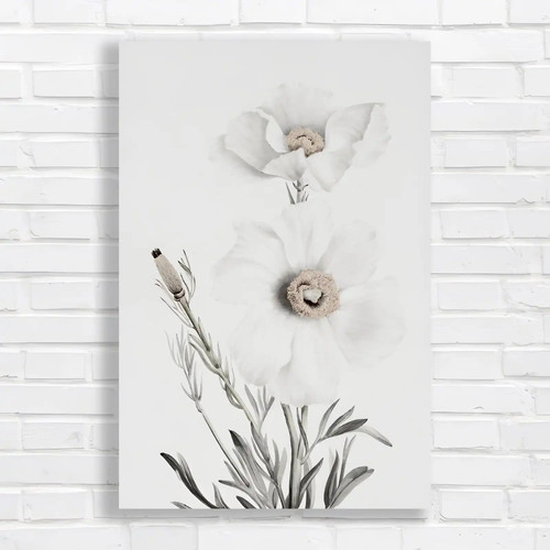 Minimalist daisy floral canvas - daisy,