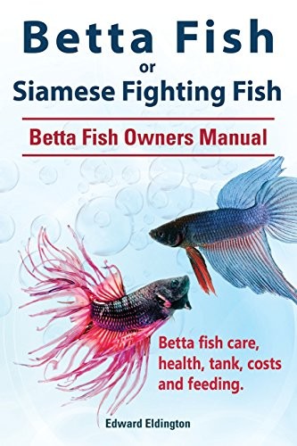 Betta fish siamese fighting - fish, or