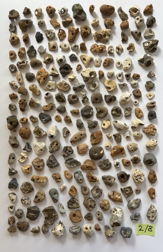 200 natural hag - natural,