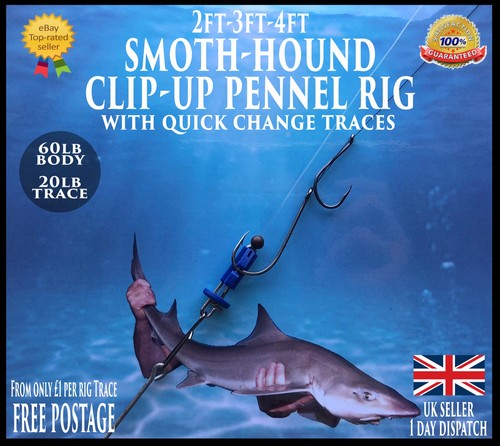 Sea rigs smooth hound - sea, up