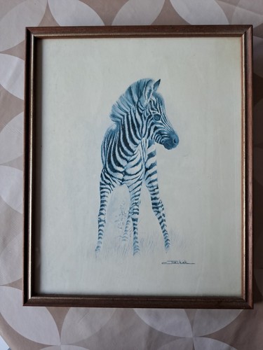 Joel kirk print zebra - print, a
