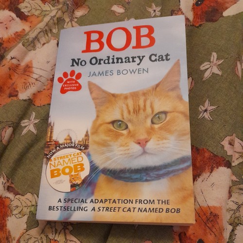 Bob ordinary cat - no, james