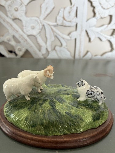 Border collie with ram - collie, and