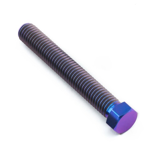 Titanium axle adjuster - titanium, bolt