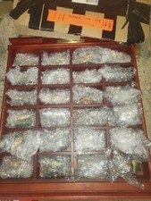 Danbury Mint The Anglers Showcase Model Fish