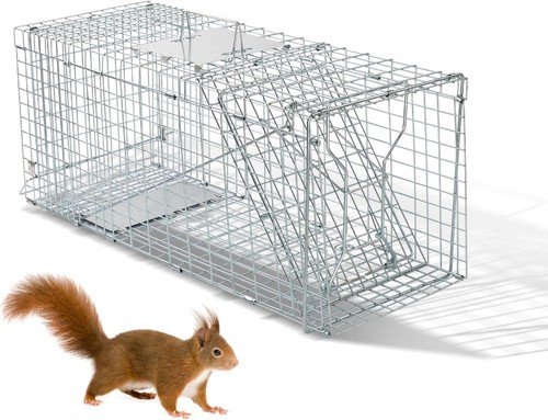 Live animal cage - animal,