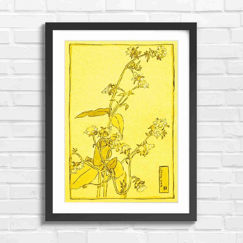 Botanical flower art - flower,