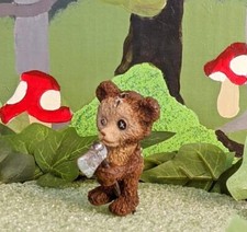 Fiddlehead Fairy Garden