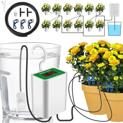Greenhouse automatic micro - greenhouse,