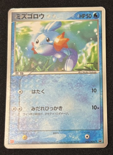 Pokemon card mudkip 005 adv - pokemon,