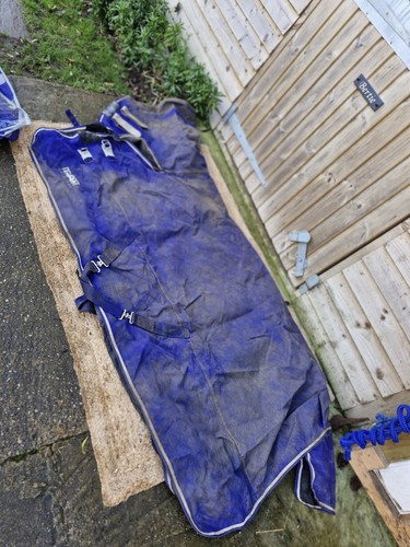 6ft tempest equestrian - tempest,