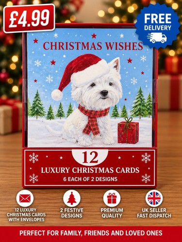 Luxury christmas cards - 12, with