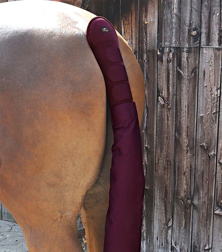 Premier equine padded - premier, horse