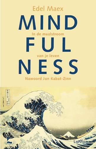 Mindfulness de maalstroom - in,