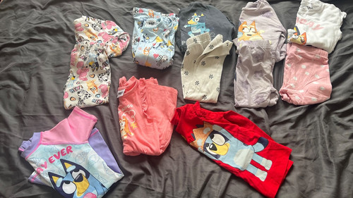 Months bluey baby girl - bluey,