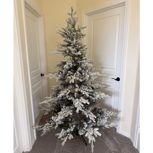 Puleo international 6ft - puleo,