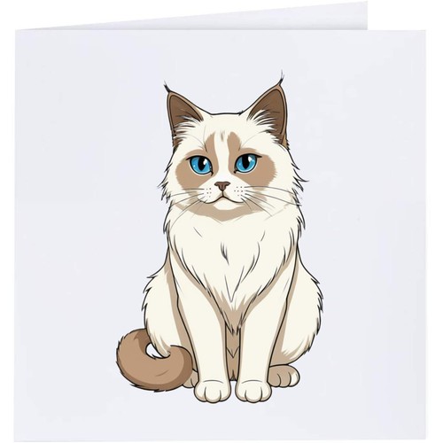 Birman cat greeting - cat',