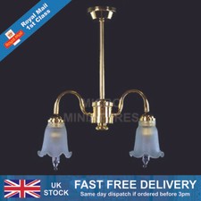 Dolls House Dual Frosted Tulip