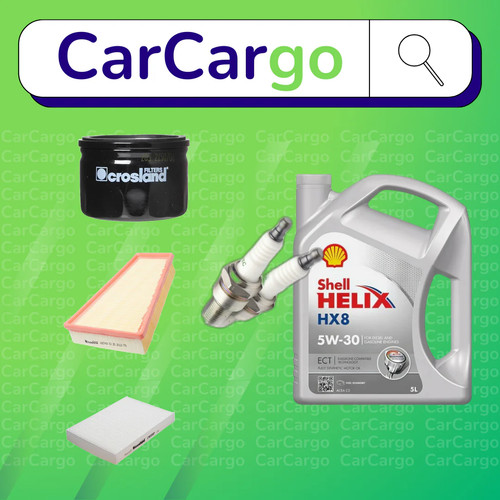 Service kit renault - kit, 2.0