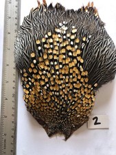 jungle cock cape fly tying