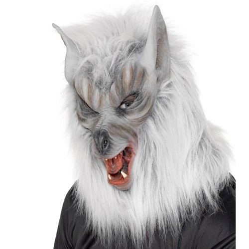 Halloween fancy dress - dress, overhead