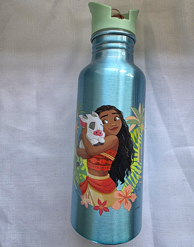 Disney moana pua kids - disney, metal